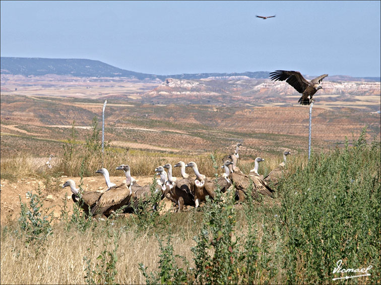Foto de Santa María de Huerta (Soria), España