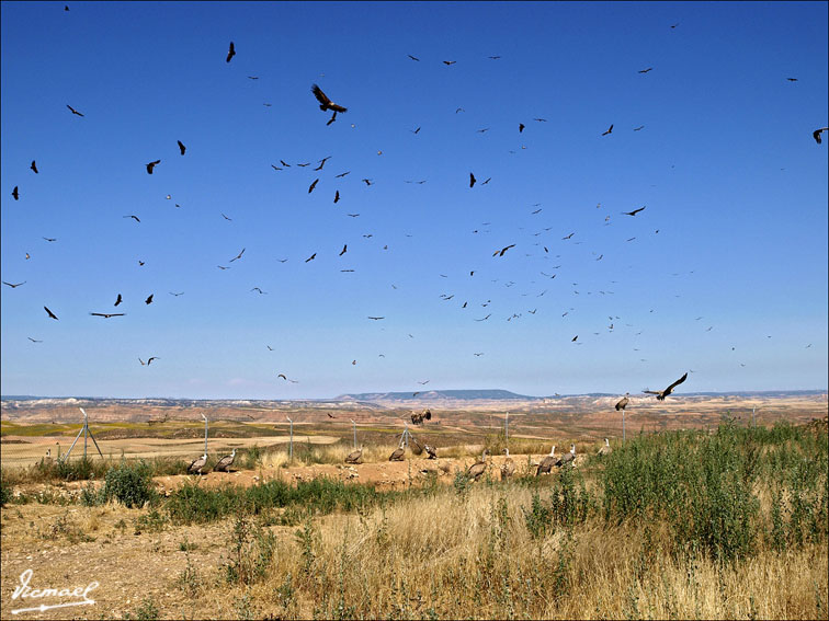 Foto de Santa María de Huerta (Soria), España