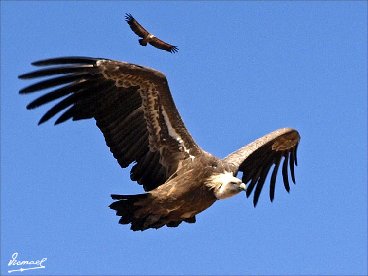 Foto de Santa María de Huerta (Soria), España