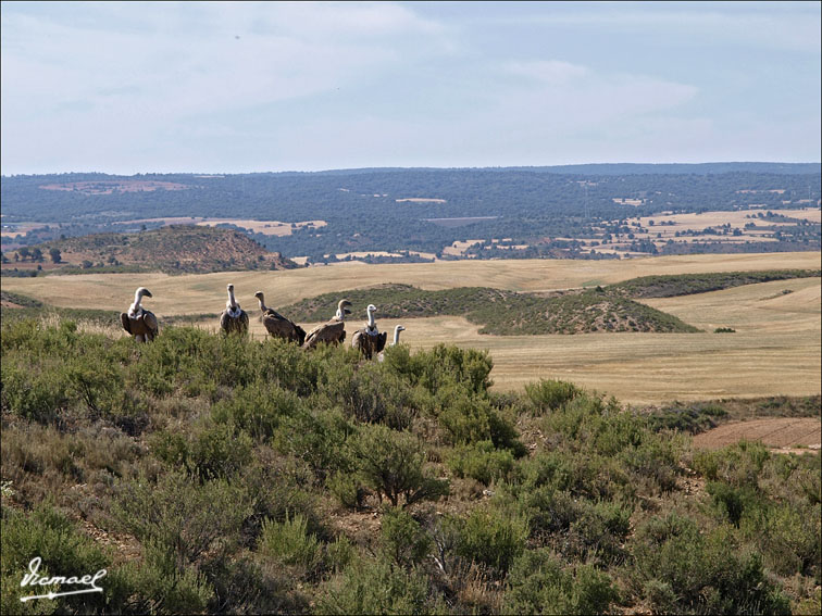 Foto de Santa María de Huerta (Soria), España