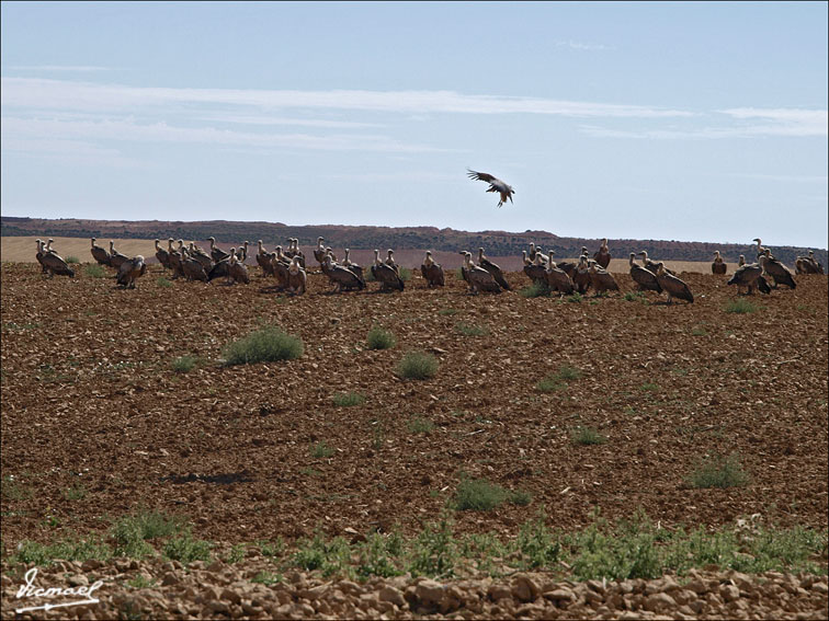 Foto de Santa María de Huerta (Soria), España
