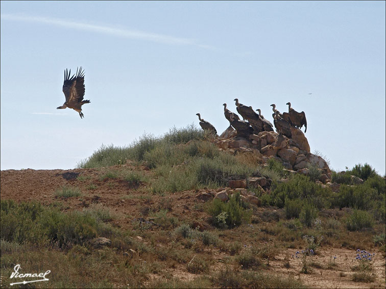 Foto de Santa María de Huerta (Soria), España