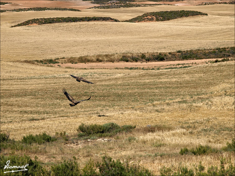 Foto de Santa María de Huerta (Soria), España