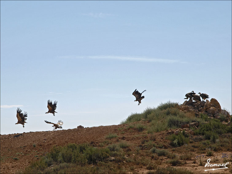 Foto de Santa María de Huerta (Soria), España