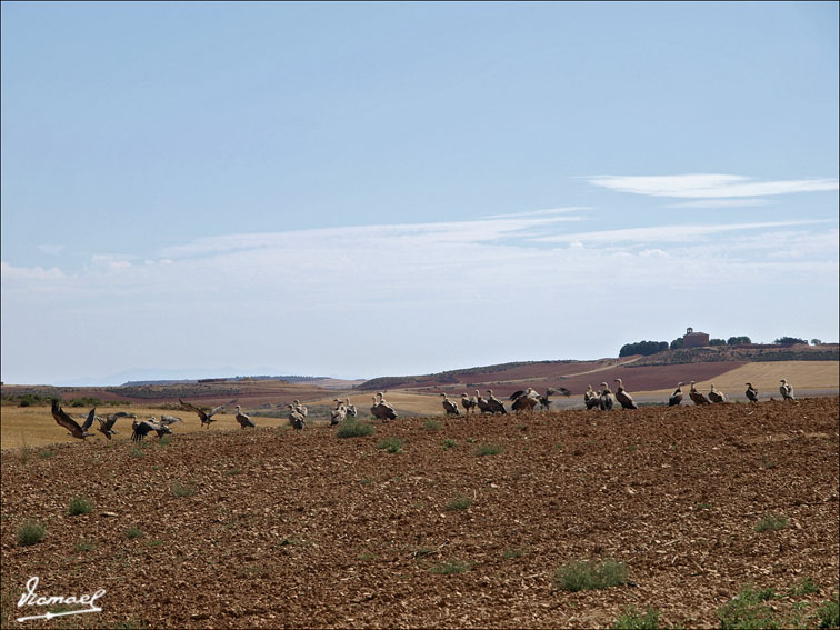 Foto de Santa María de Huerta (Soria), España