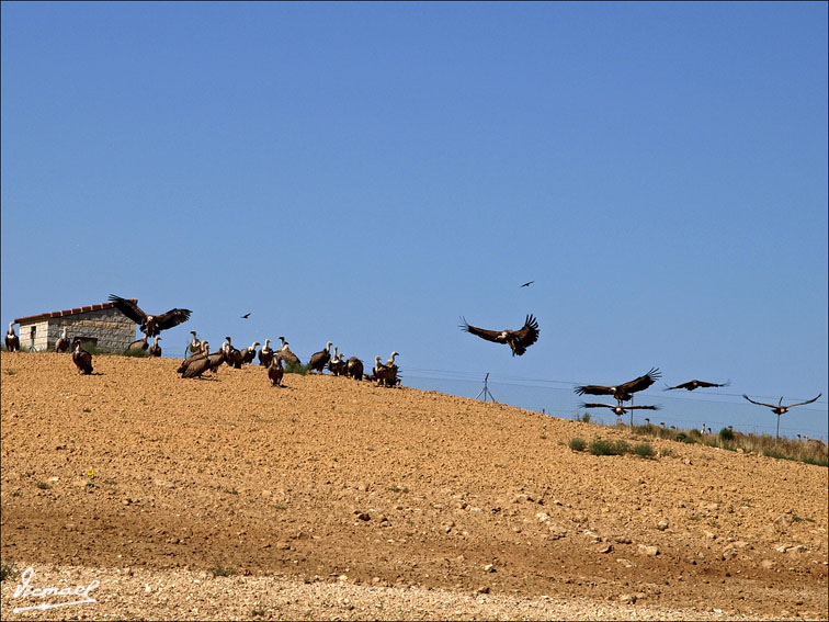 Foto de Santa María de Huerta (Soria), España