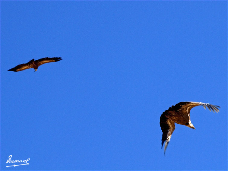Foto de Santa María de Huerta (Soria), España