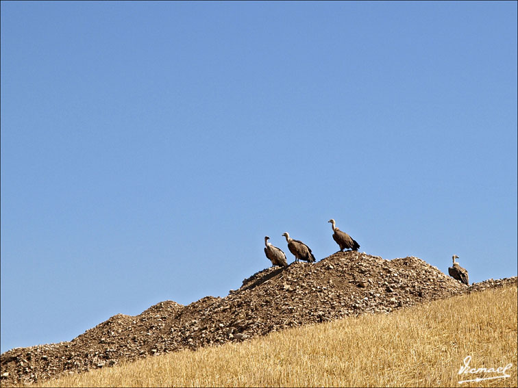 Foto de Santa María de Huerta (Soria), España