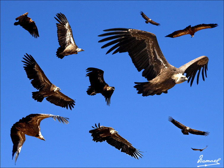 Foto de Santa María de Huerta (Soria), España