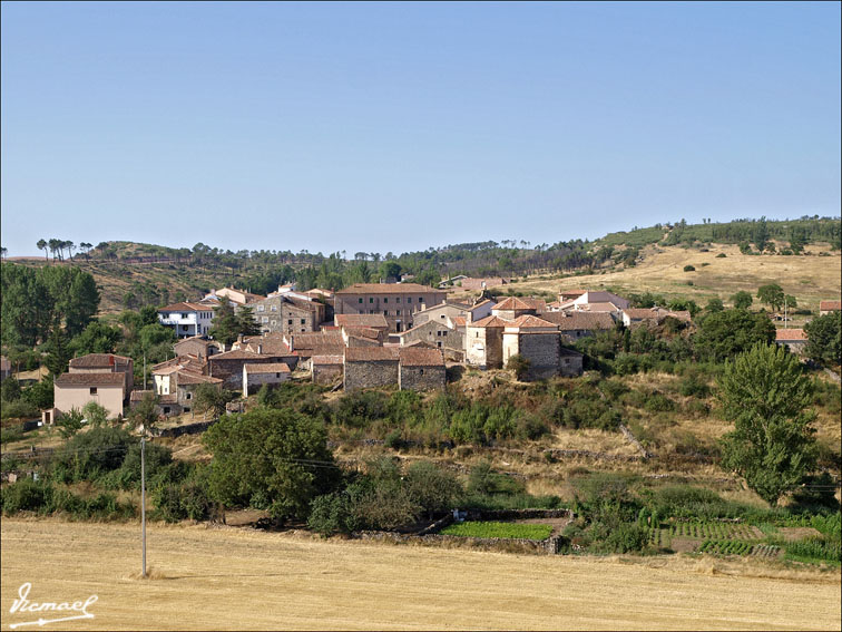 Foto de Ciruelos del Pinar (Guadalajara), España