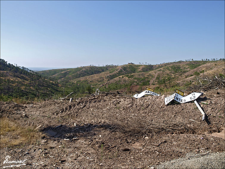Foto de Ciruelos del Pinar (Guadalajara), España