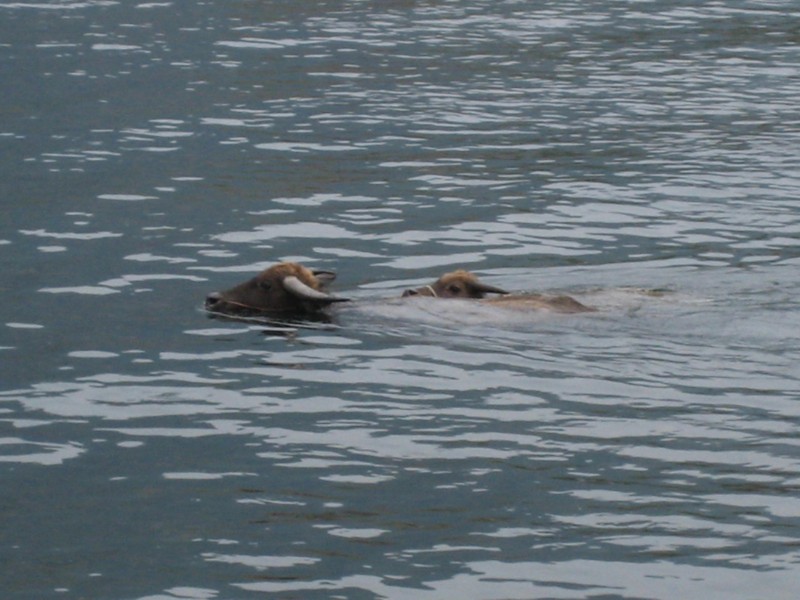 Foto de Guilin, China