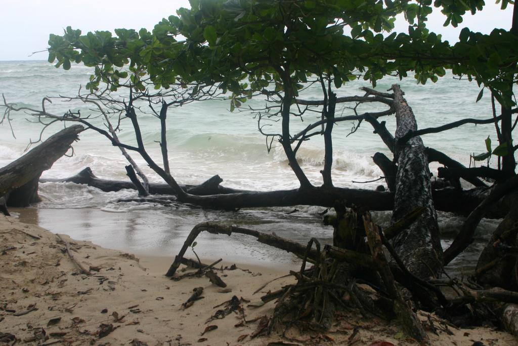 Foto de Bocas del Toro, Panamá
