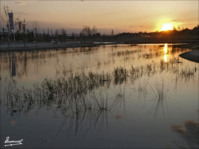 Foto de Zaragoza (Aragón), España