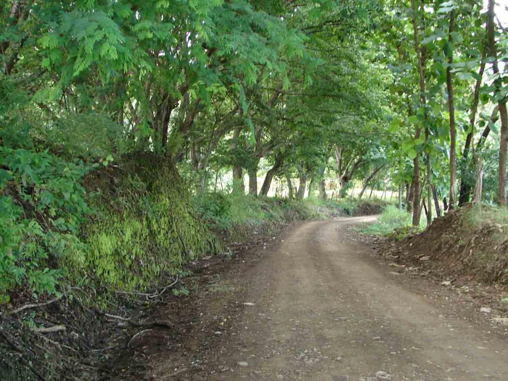 Foto de Puntarenas, Costa Rica