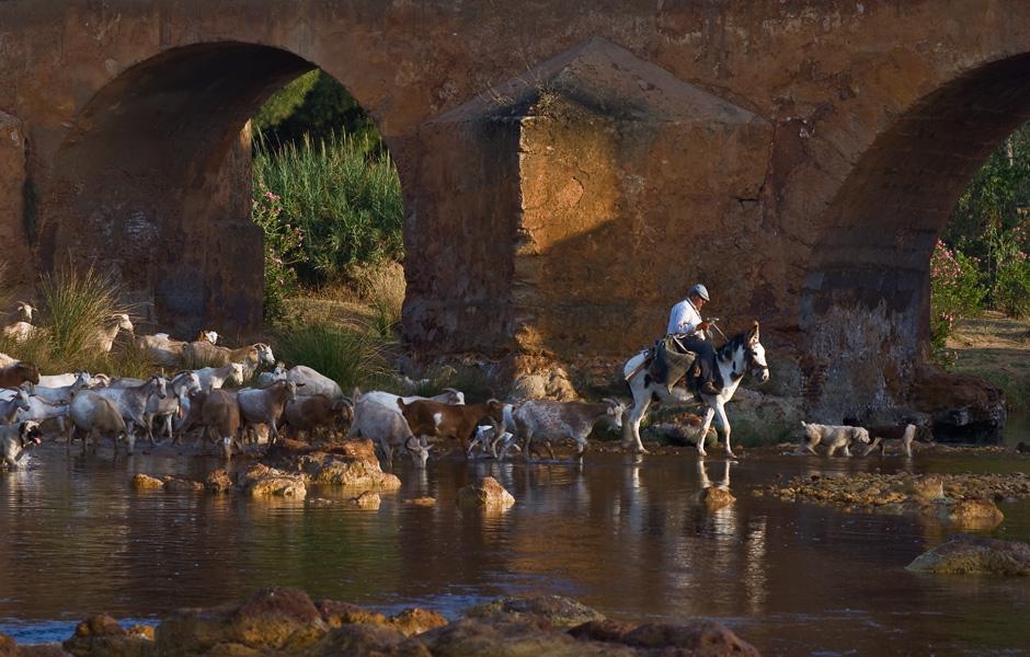 Foto de Niebla (Huelva), España