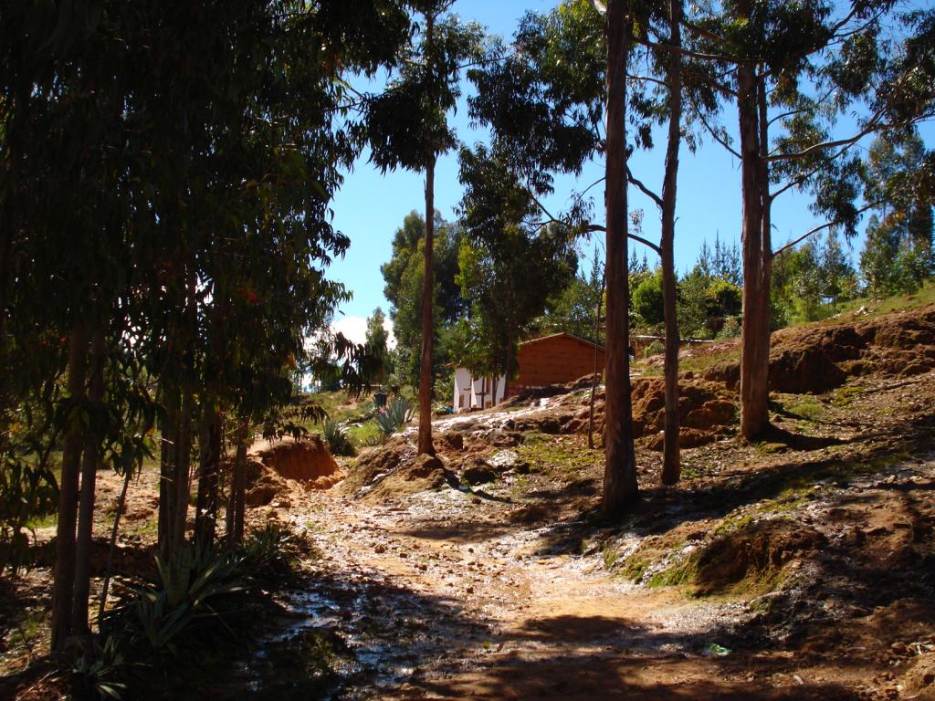 Foto de Cajamarca, Perú