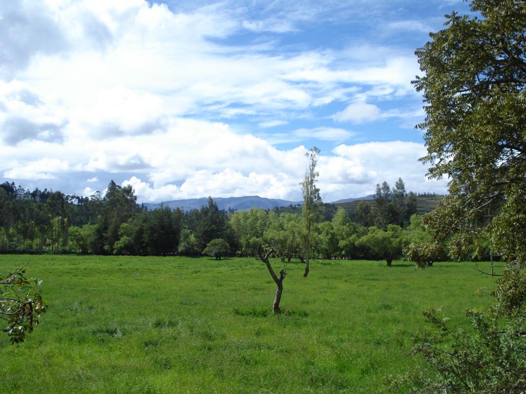 Foto de Cajamarca, Perú