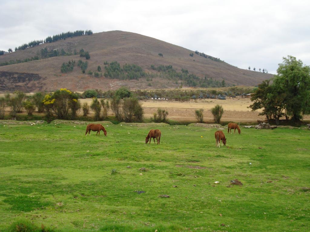 Foto de Cajamarca, Perú