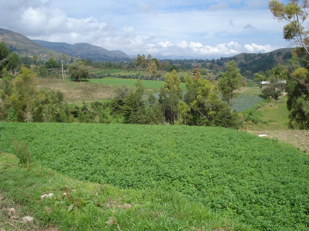 Foto de Jesus (Cajamarca), Perú
