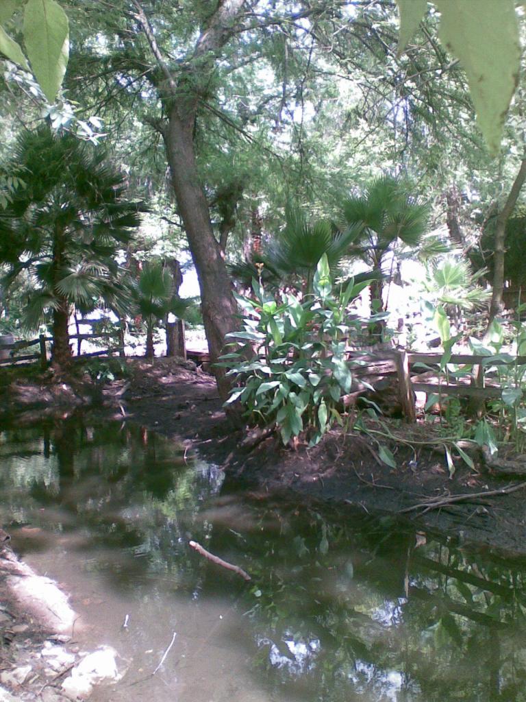 Foto de Ayotlán (Jalisco), México