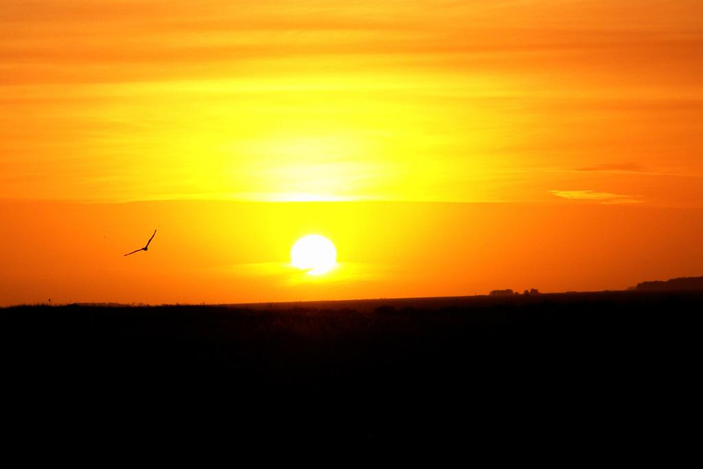 Foto de Mar de las Pampas, Argentina