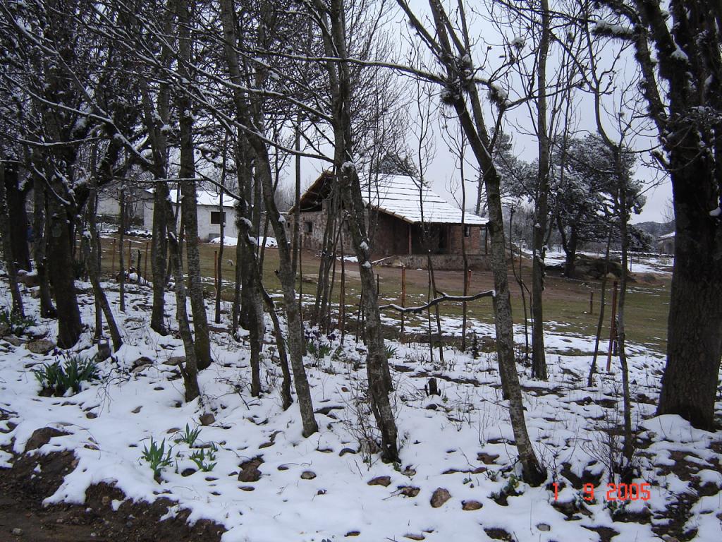 Foto de Copina, Argentina