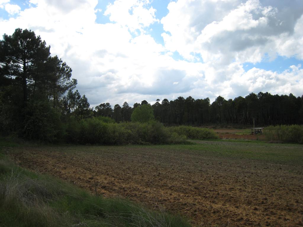 Foto de Cuenca (Castilla La Mancha), España