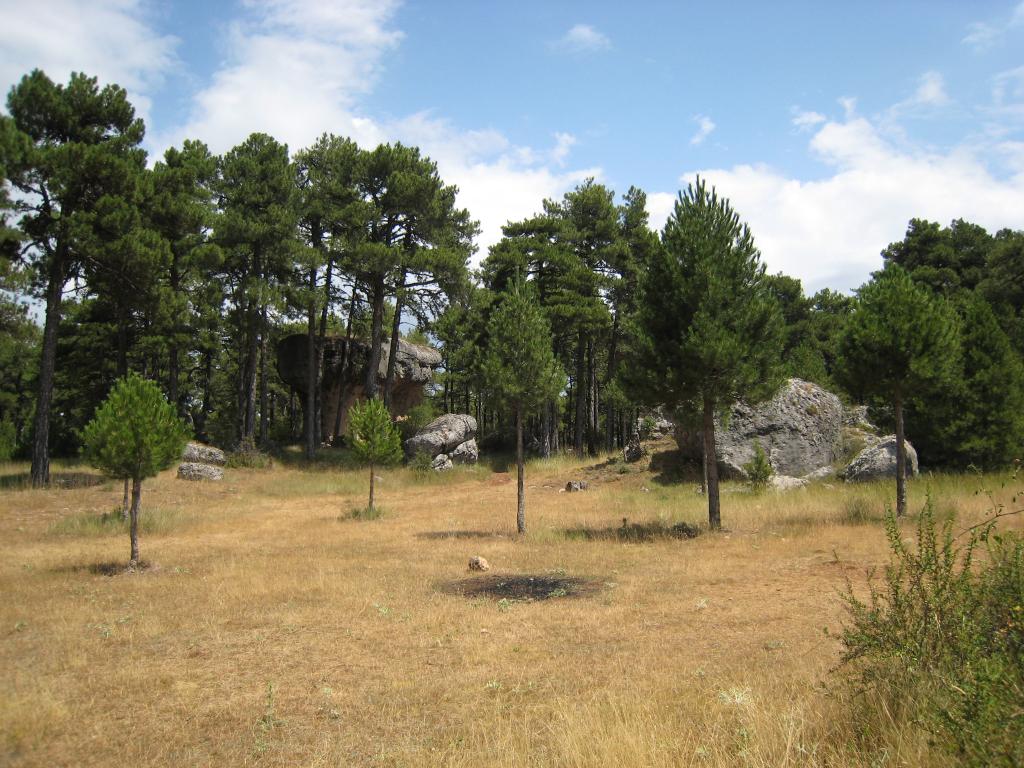 Foto de Cuenca (Castilla La Mancha), España