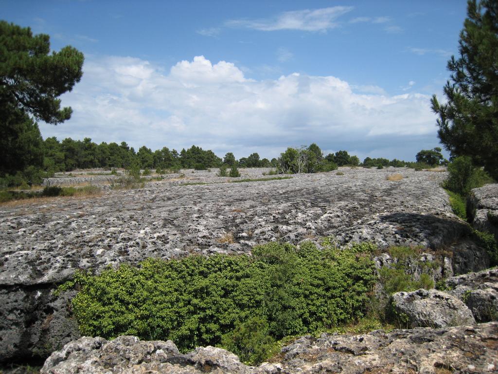 Foto de Cuenca (Castilla La Mancha), España