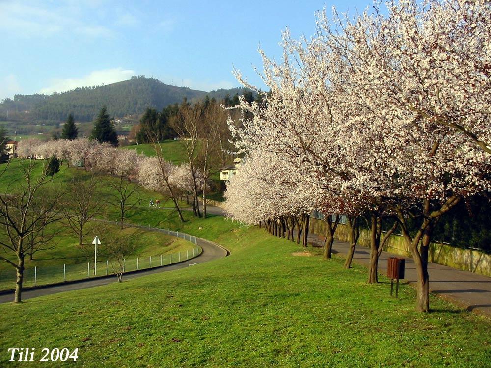 Foto de Oviedo (Asturias), España