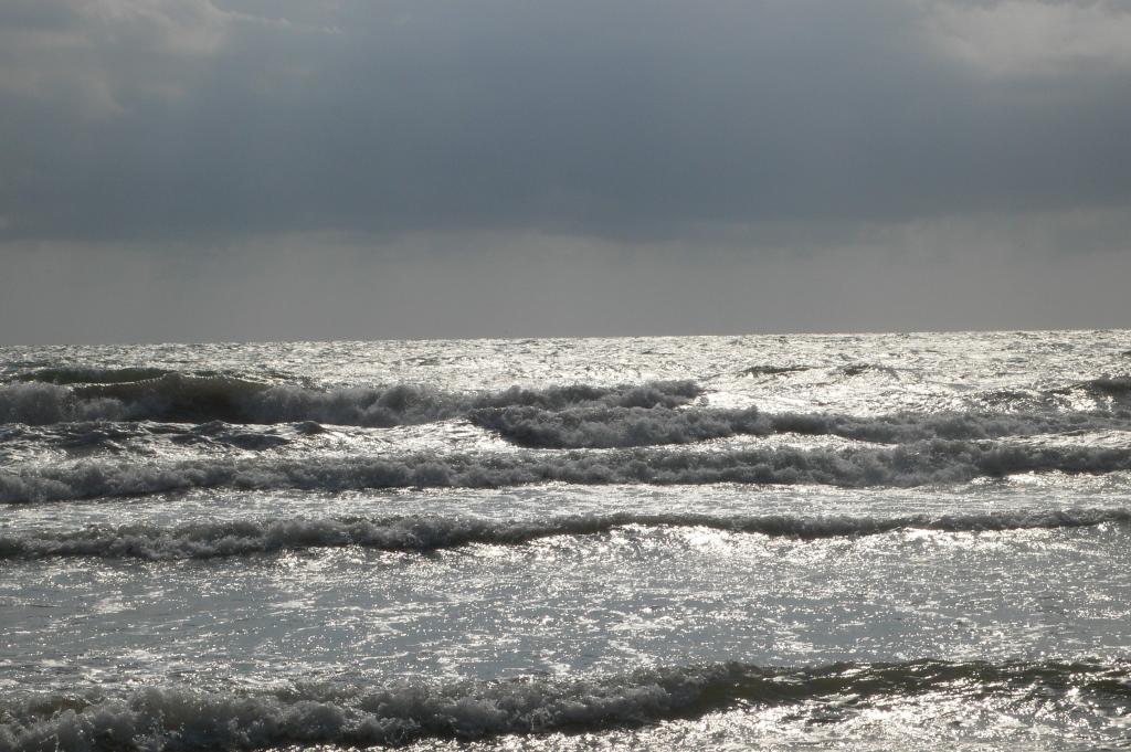 Foto de La Malvarrosa (València), España