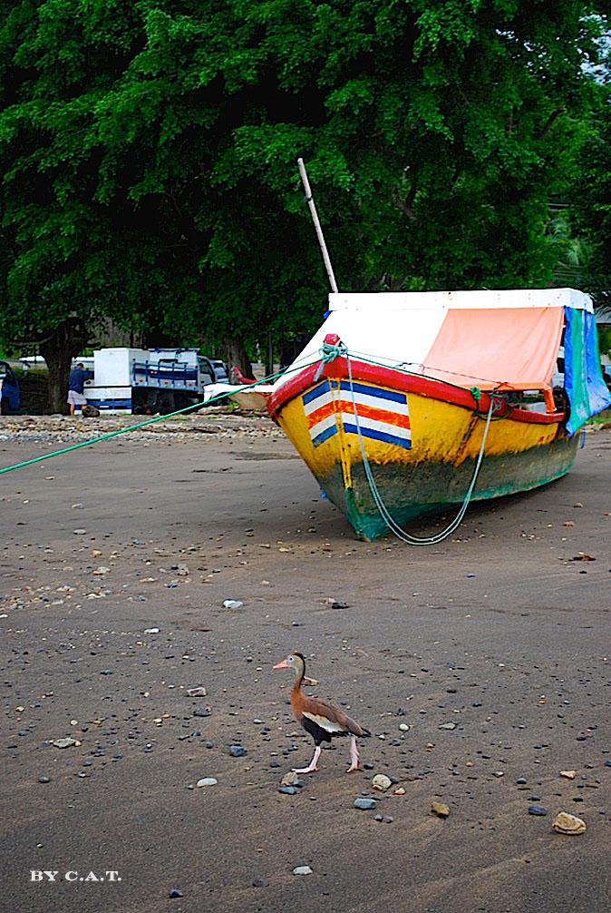 Foto de Puntarenas, Costa Rica