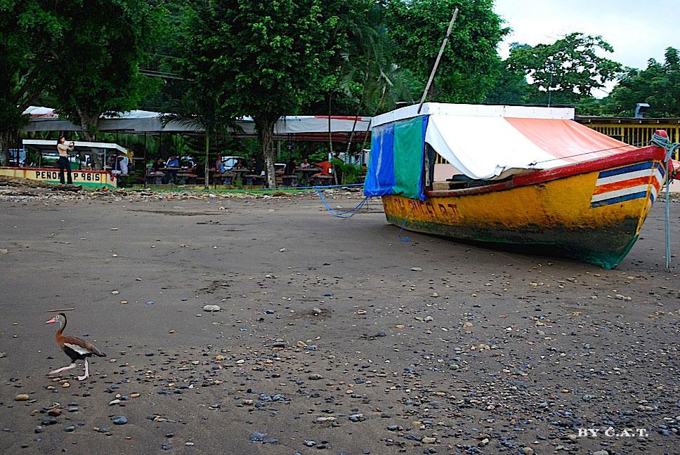 Foto de Puntarenas, Costa Rica