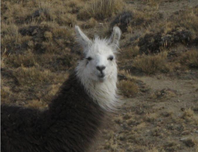 Foto de La Paz, Bolivia