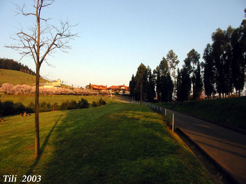 Foto de Oviedo (Asturias), España