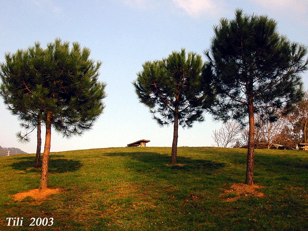 Foto de Oviedo (Asturias), España