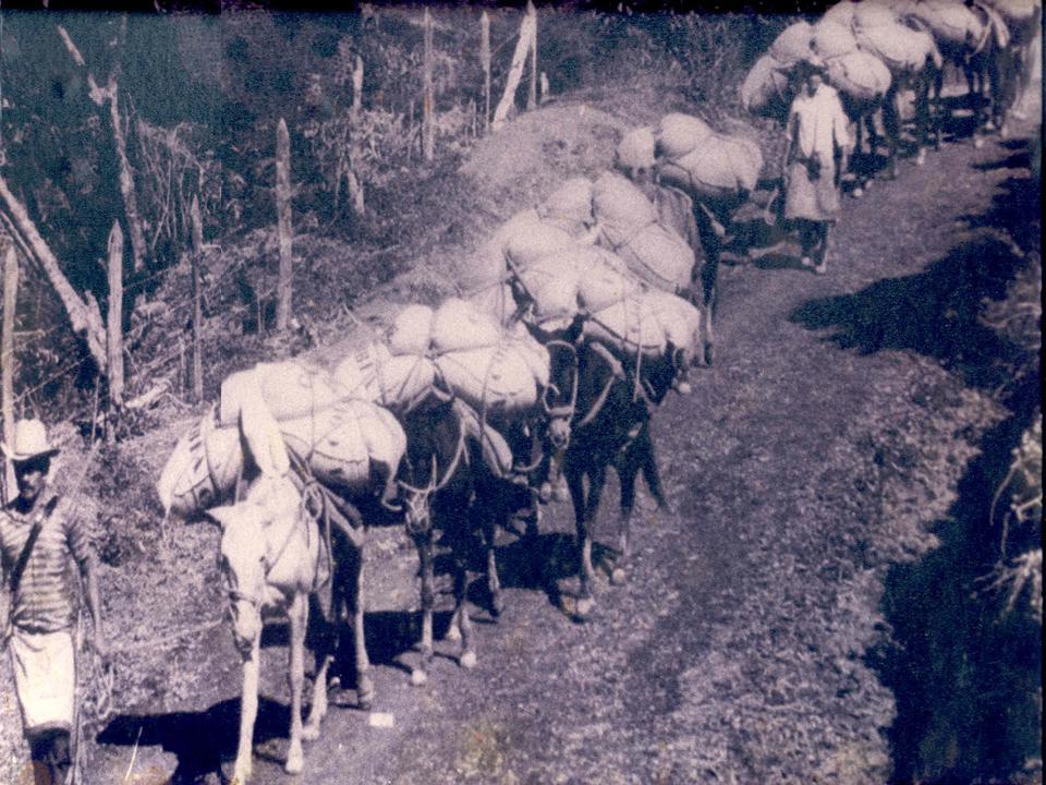Foto de Líbano (Tolima), Colombia