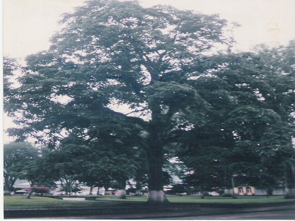 Foto de Líbano (Tolima), Colombia