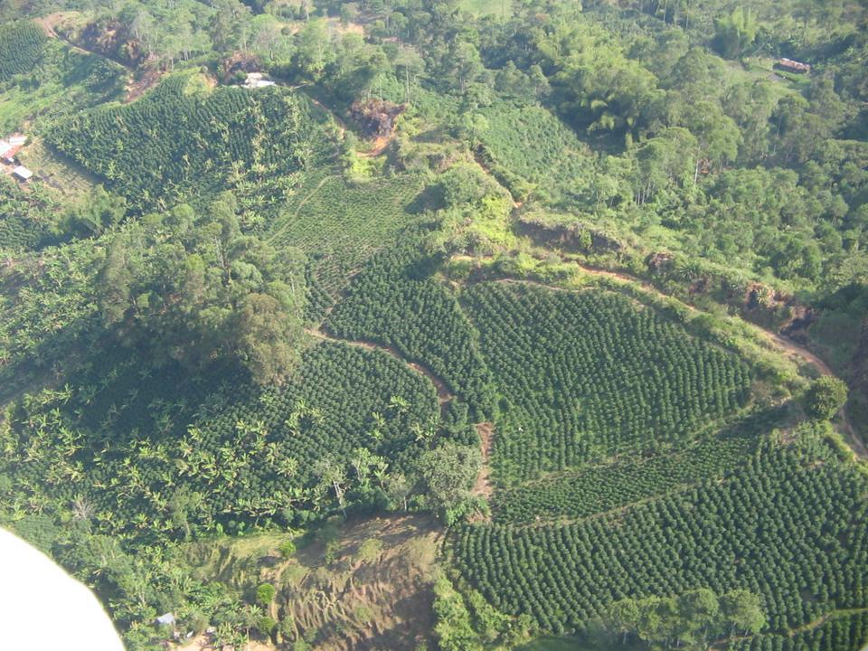 Foto de Líbano (Tolima), Colombia