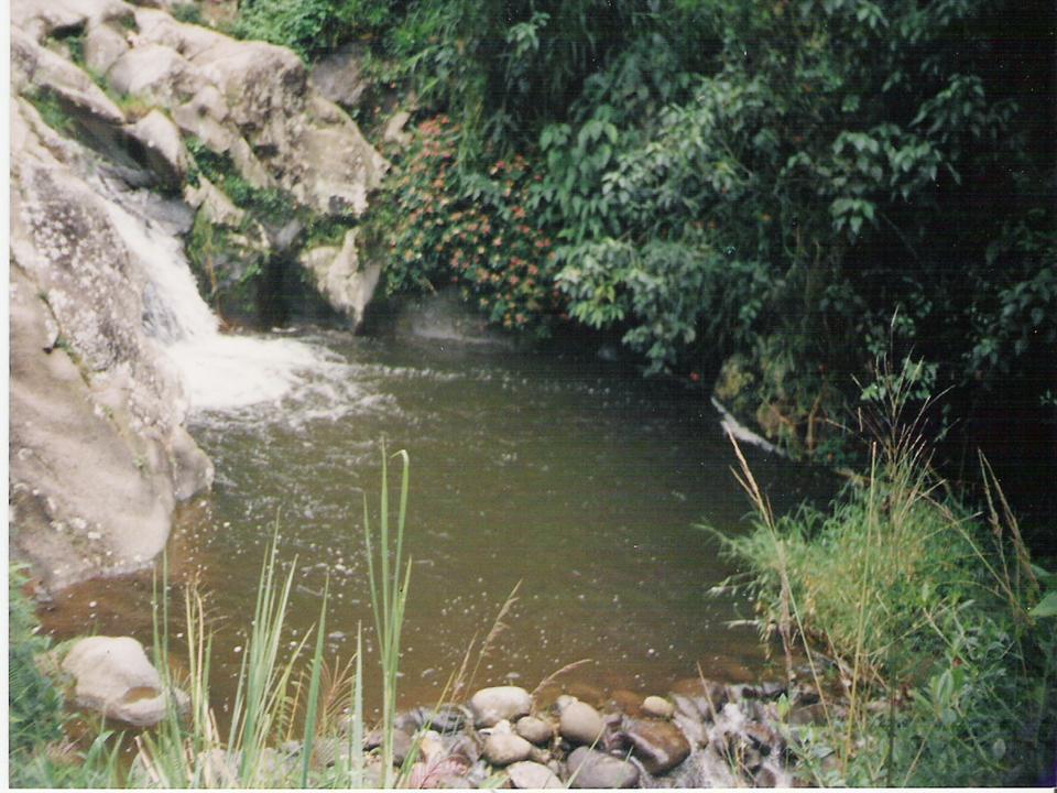 Foto de Líbano (Tolima), Colombia