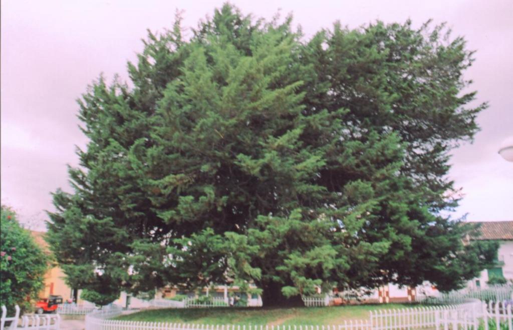 Foto de Saboyá (Boyaca), Colombia