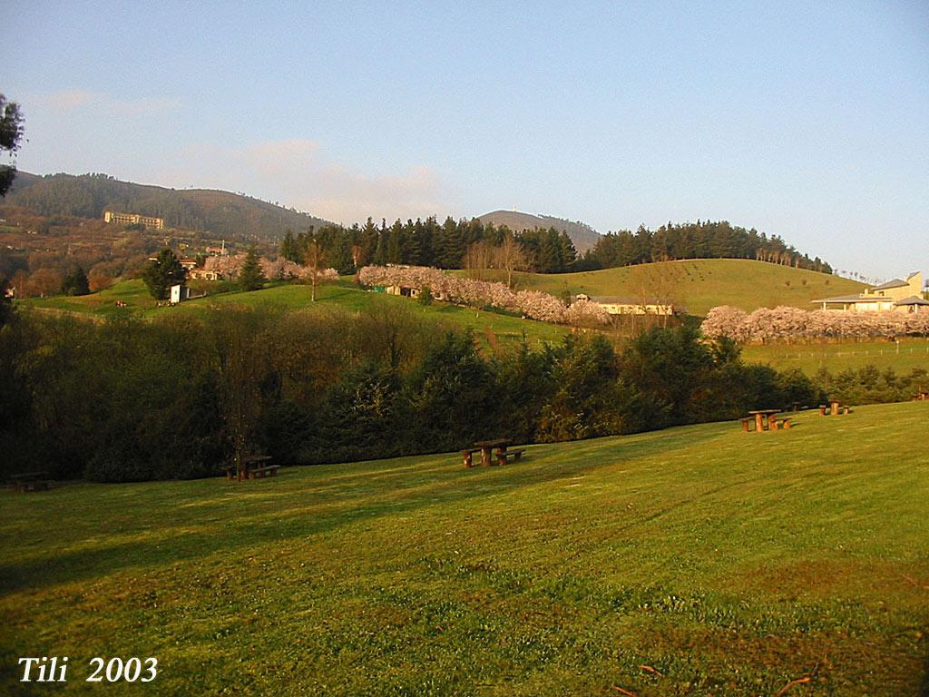 Foto de Oviedo (Asturias), España