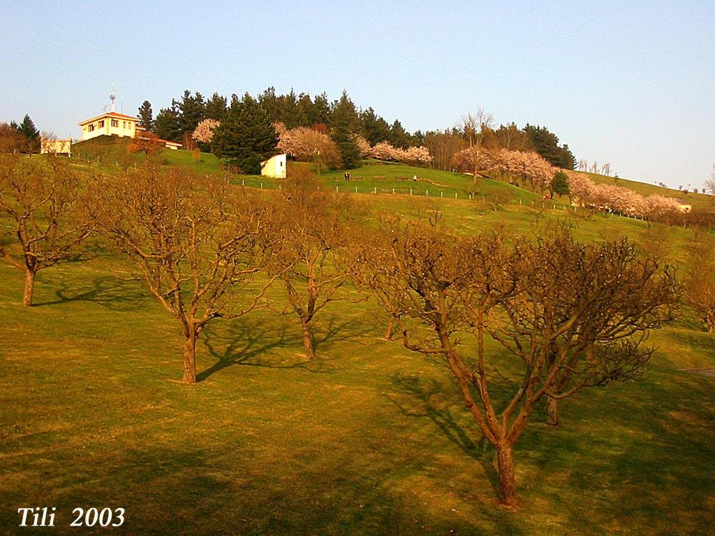 Foto de Oviedo (Asturias), España