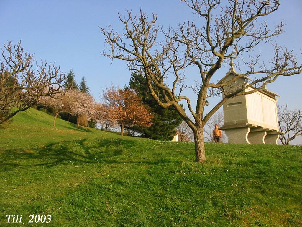 Foto de Oviedo (Asturias), España