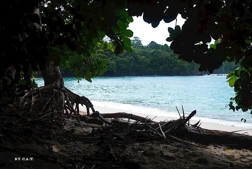 Foto de Puntarenas, Costa Rica