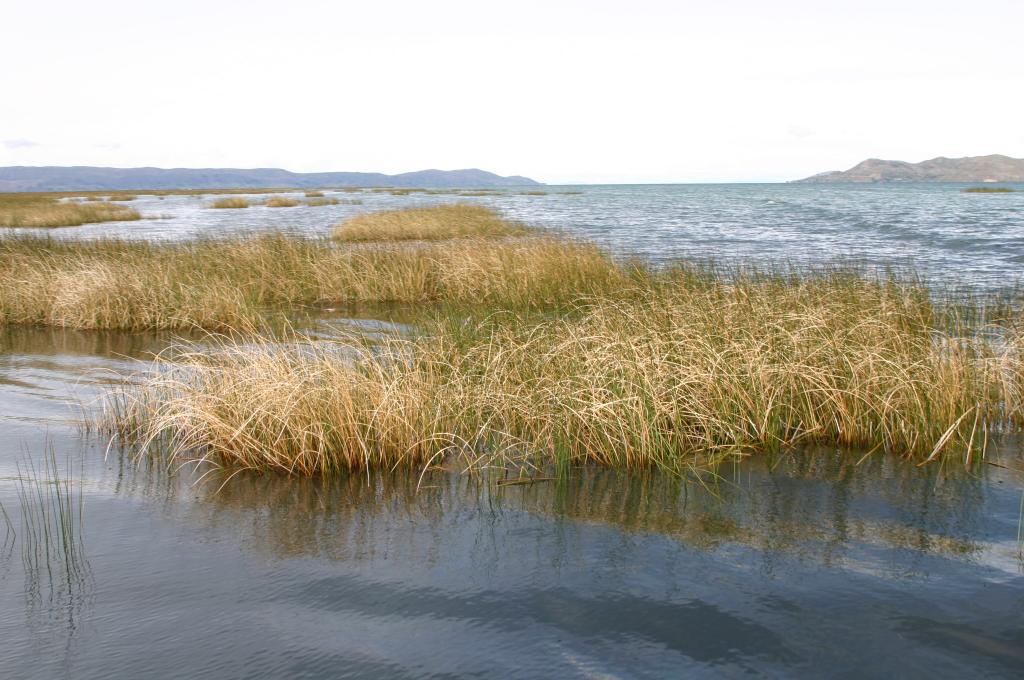 Foto de Puno, Perú