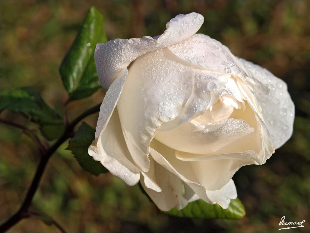 Foto de Zaragoza (Aragón), España