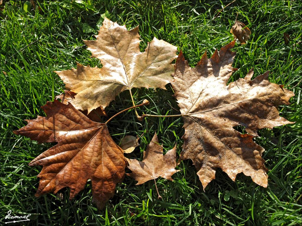 Foto de Zaragoza (Aragón), España
