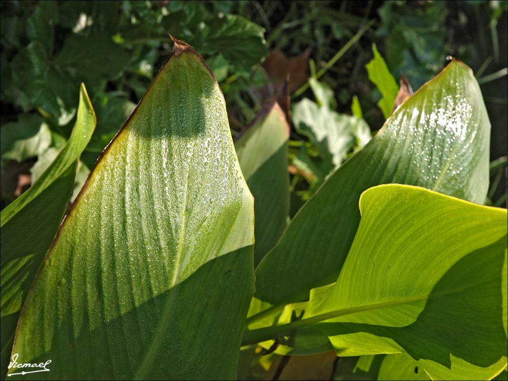 Foto de Zaragoza (Aragón), España